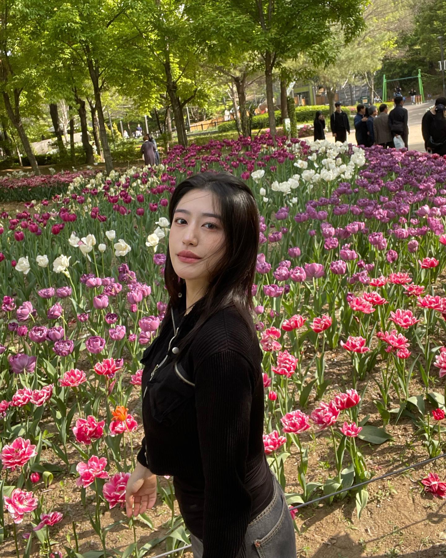 콘텐츠