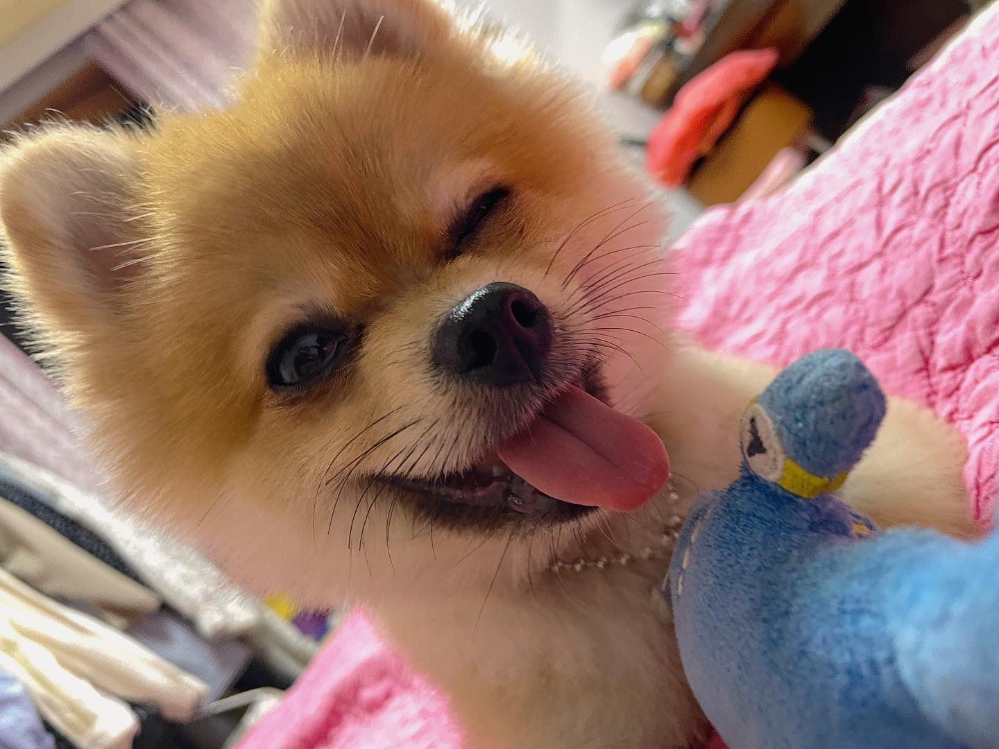 💗 다들 내 윙크를 받아랏 ˚‧｡♥｡‧˚