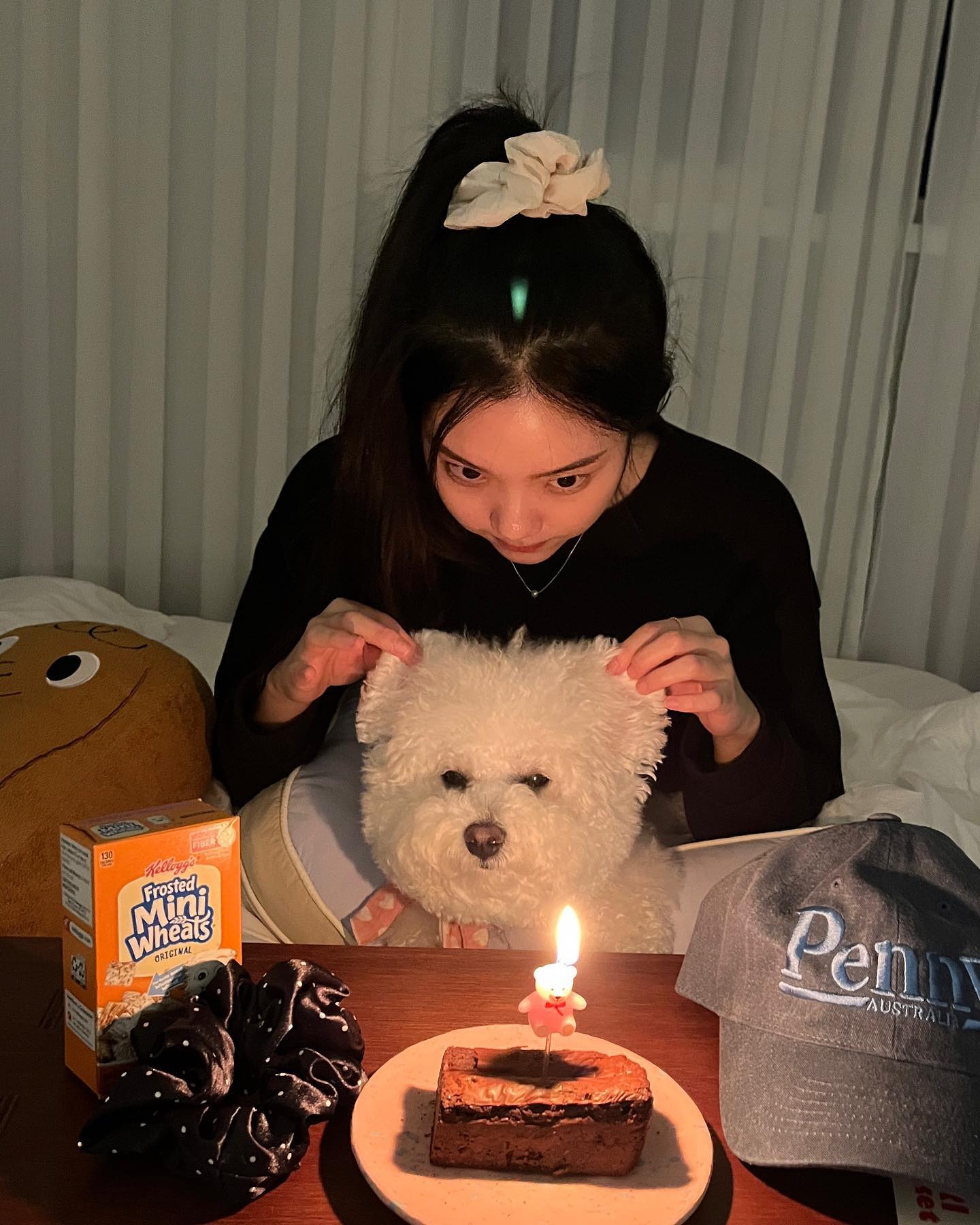 담이랑 소금이랑 💭🎂