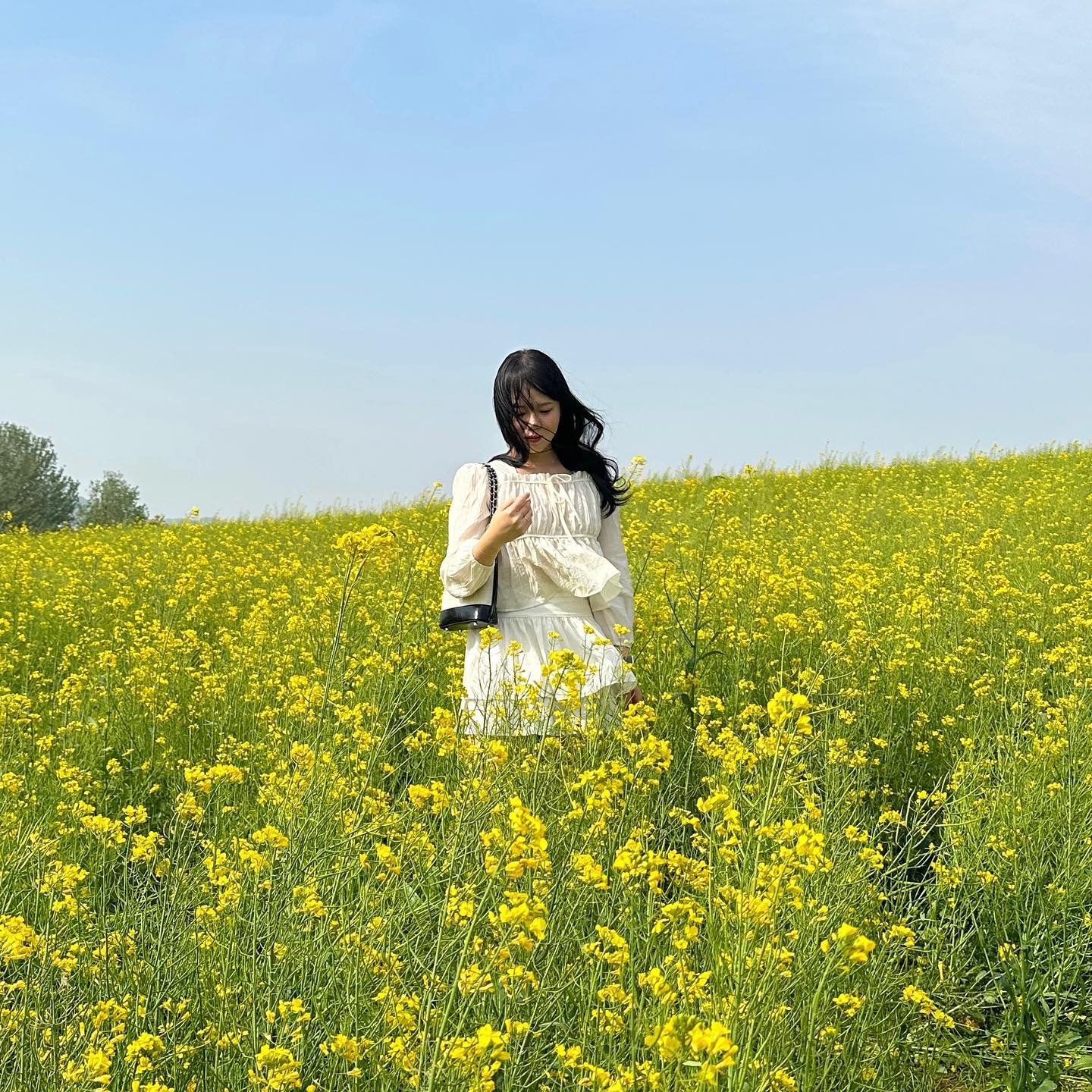 꽃 조하~💛🌼