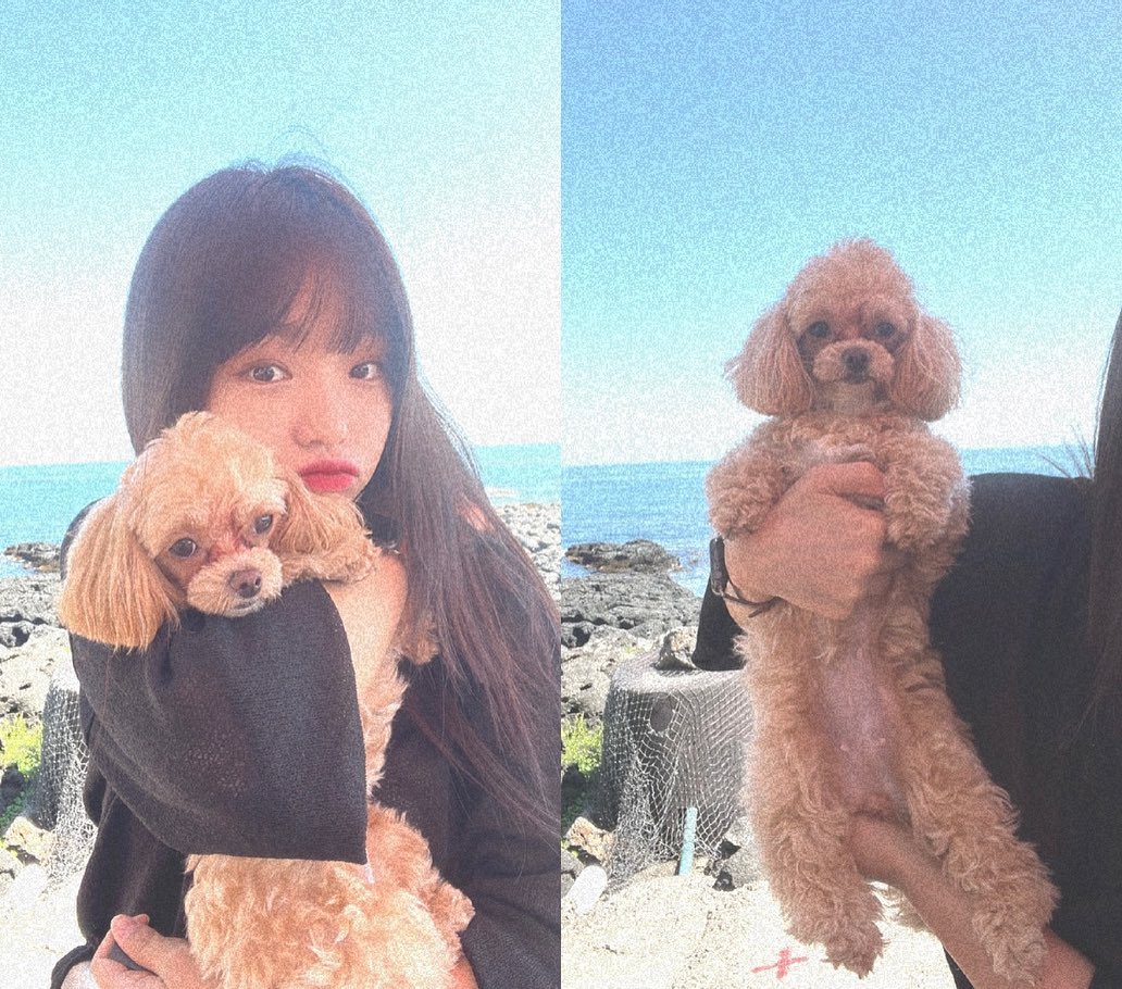 #호두랑 제주도여행 1일차 

어떻게 혼자가냐는 말만 엄청 들은 것 같은데 혼자 아님 호두랑 같이 왔어요! 긍데 혼자가 편했.... 을.. 😬