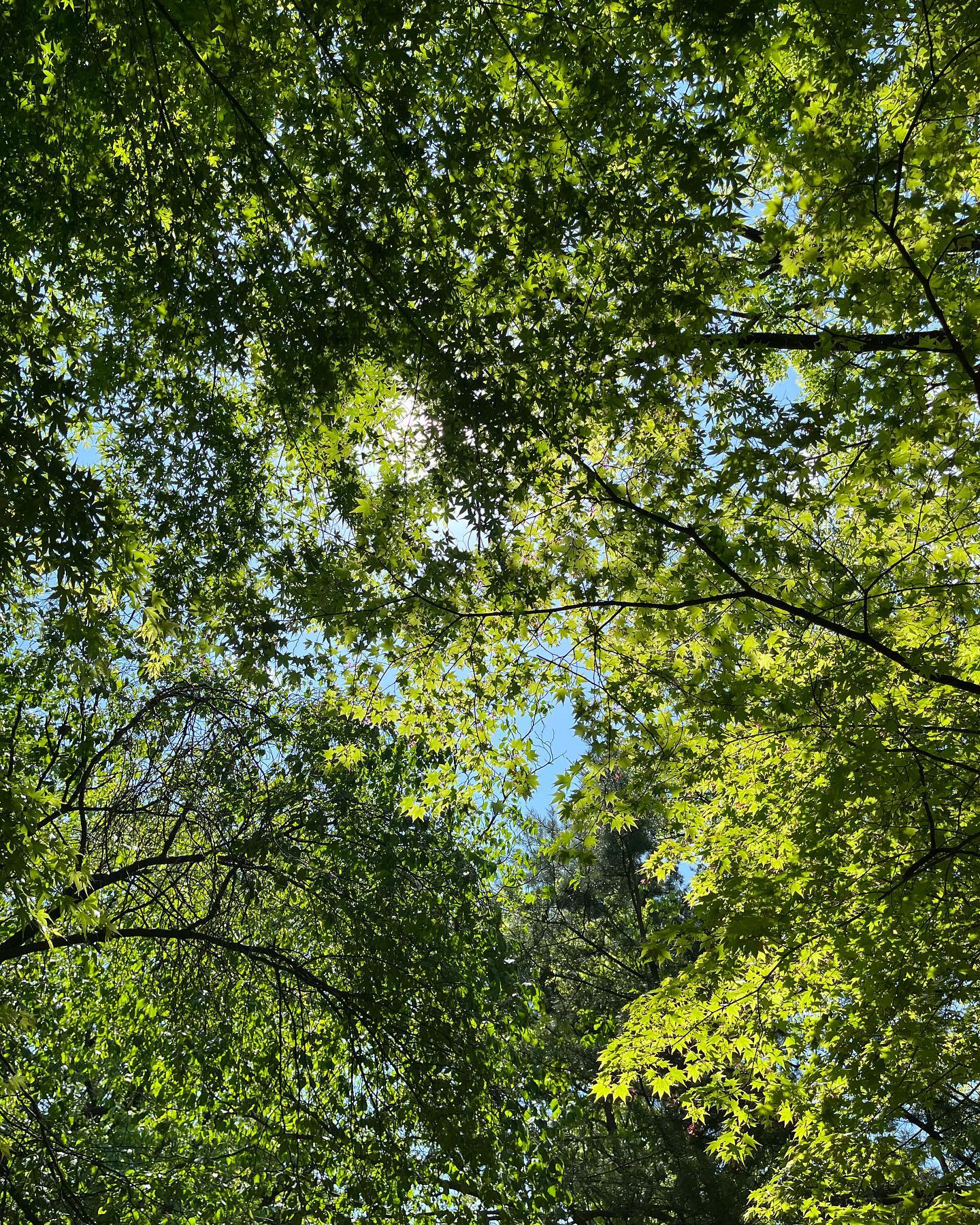 내가좋아하는 초록🌿

#바다보다산 #힐링 #파릇파릇