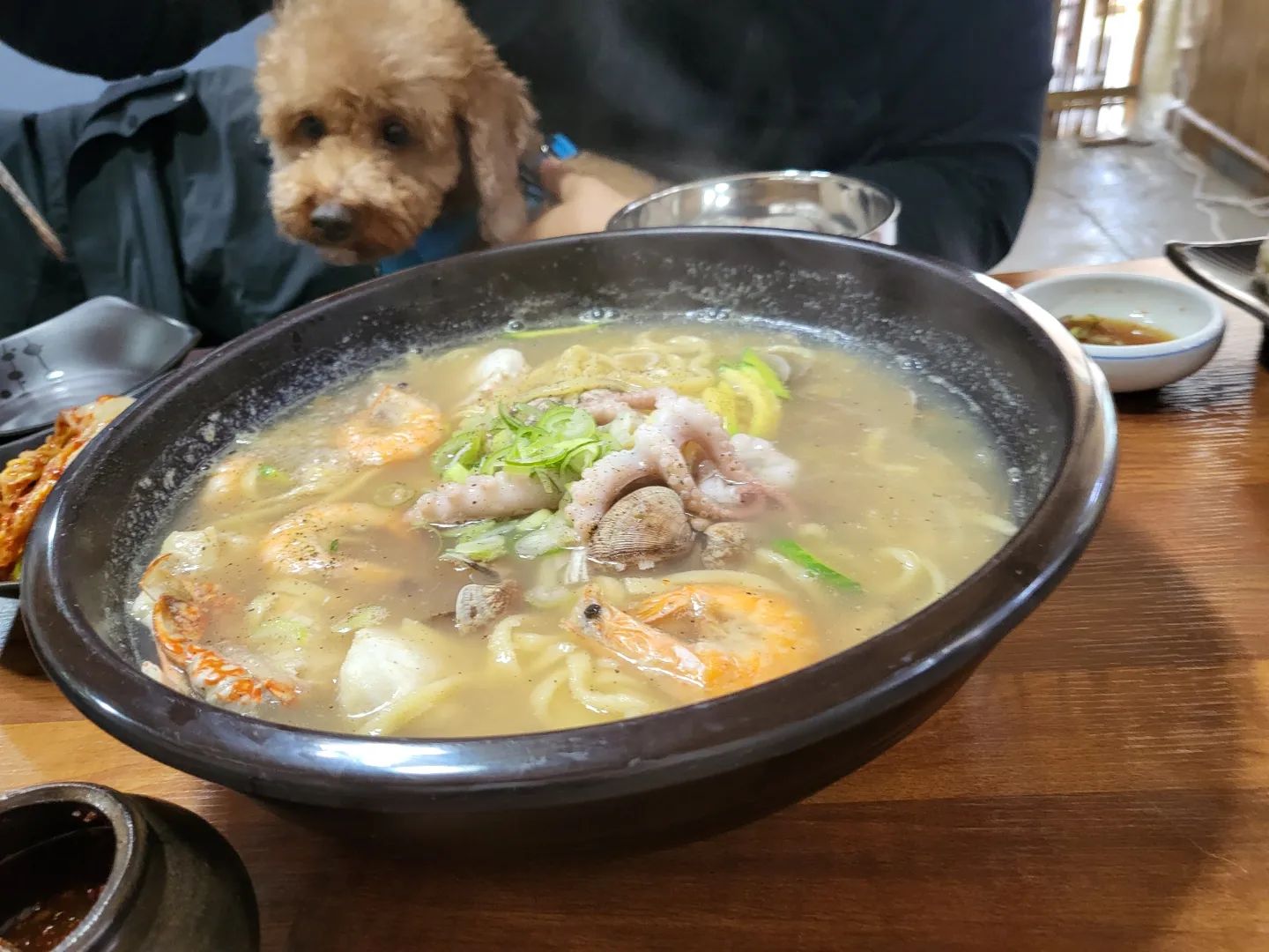 태양 마루랑 오빠랑 외식 데이트💙

강아지 데리고 음식먹기 힘들지만 날씨가 좋아서 즐거웠다.
사람이 정말 많았던 밀박칼국수 애견동반이라 강아지 데리고 오는 사람들이 많았음! 

다음에는 어디를 가볼까~~🤭

#애견동반 #의정부애견동반식당 #푸들 #칼국수 #데이트 #근로자의날 #밀박칼국수 #애견동반식당