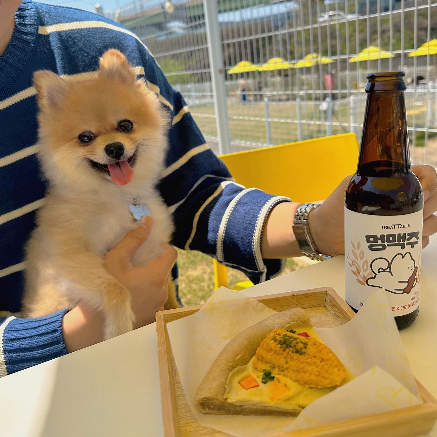 날씨도 좋은데 나랑 피맥 한잔 오떠개?🐶💞