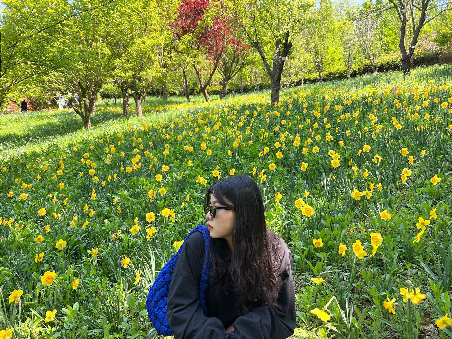 🌼