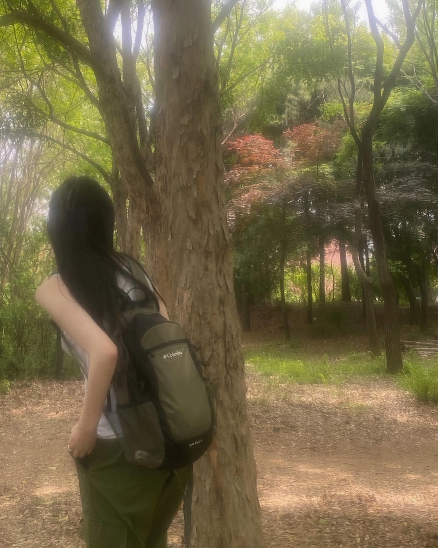 콘텐츠
