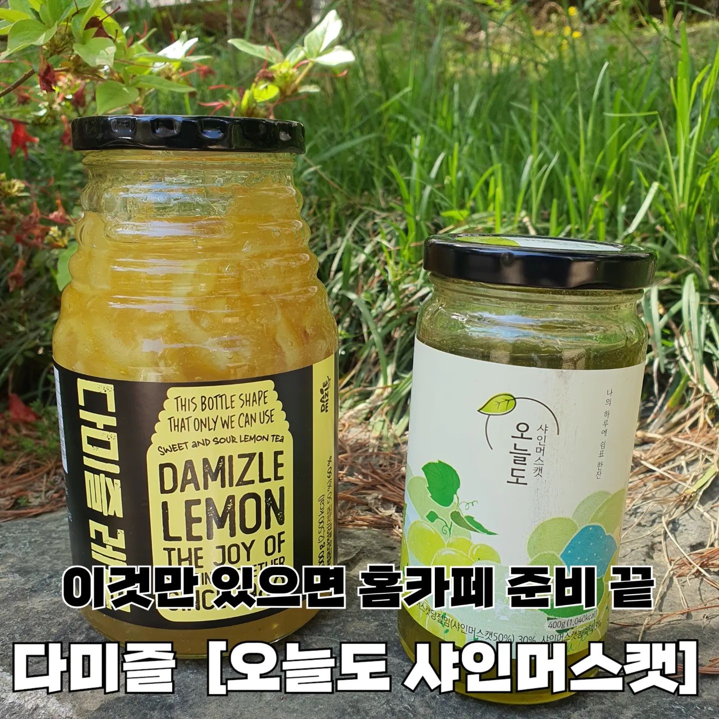 고퀄보장 홈카페를 원한다구!? 아리가 알려줄게 。˃̵͈̑ᴗ❛。

#제품제공 #오늘도샤인머스캣

평소에 카페에서 신메뉴 먹는걸 너무 좋아해서 거의 매일 출석도장 찍는 아리
커피값 부담이 꽤 되서 홈카페를 만들어볼까 고민하던 중 발견한 역대급 맛있는 샤인머스캣청 ~ ᰔᩚ

100% 리얼 샤인머스캣을 사용해서 그런지 청 안에 과육이 가득해서 상콤달달 그 잡채라구🙊 

맛 없어서 못 먹던 플레인 탄산수에 샤인머스캣 청 3숟갈 넣으면 존맛 에이드 뚝딱 𖦹ࡇ𖦹.ᐟ.ᐟ.ᐟ

샤인머스캣 청 자체가 너무 맛있어서 그릭요거트나 스무디로 먹어도 좋다구 🖤

함께 온 귀여운 컵과 레몬청으로 매일 따뜻하게 레몬티 우려먹으면 컨디션 회복에 와따라구 ✨️

- 온라인 구매처 : 다미즐 자사몰 (www.damizle.co.kr)
- 카카오 메이커스 특가 판매중 (4/17~5/1 까지)
- 오프라인 구매처 : 이마트 24 편의점 (지역별 상이)

#다미즐 #오늘도 #샤인머스캣청 #홈카페 #홈카페메뉴 #과일청 #과일청추천 #샤인머스캣청 #먹스타 #먹스타맞팔 #먹스타맞팔환영 #follow #소통 #선팔하면맞팔 #먹팔환영 #좋아요환영 #좋아요반사 #먹팔해요 #맛스타그램 #맛집추천