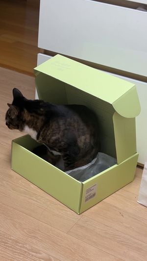 [헨로포우]  고양이 빵방석, 고양이 방석 침대