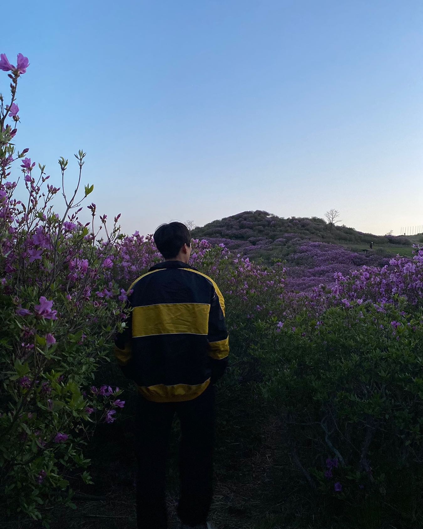 콘텐츠