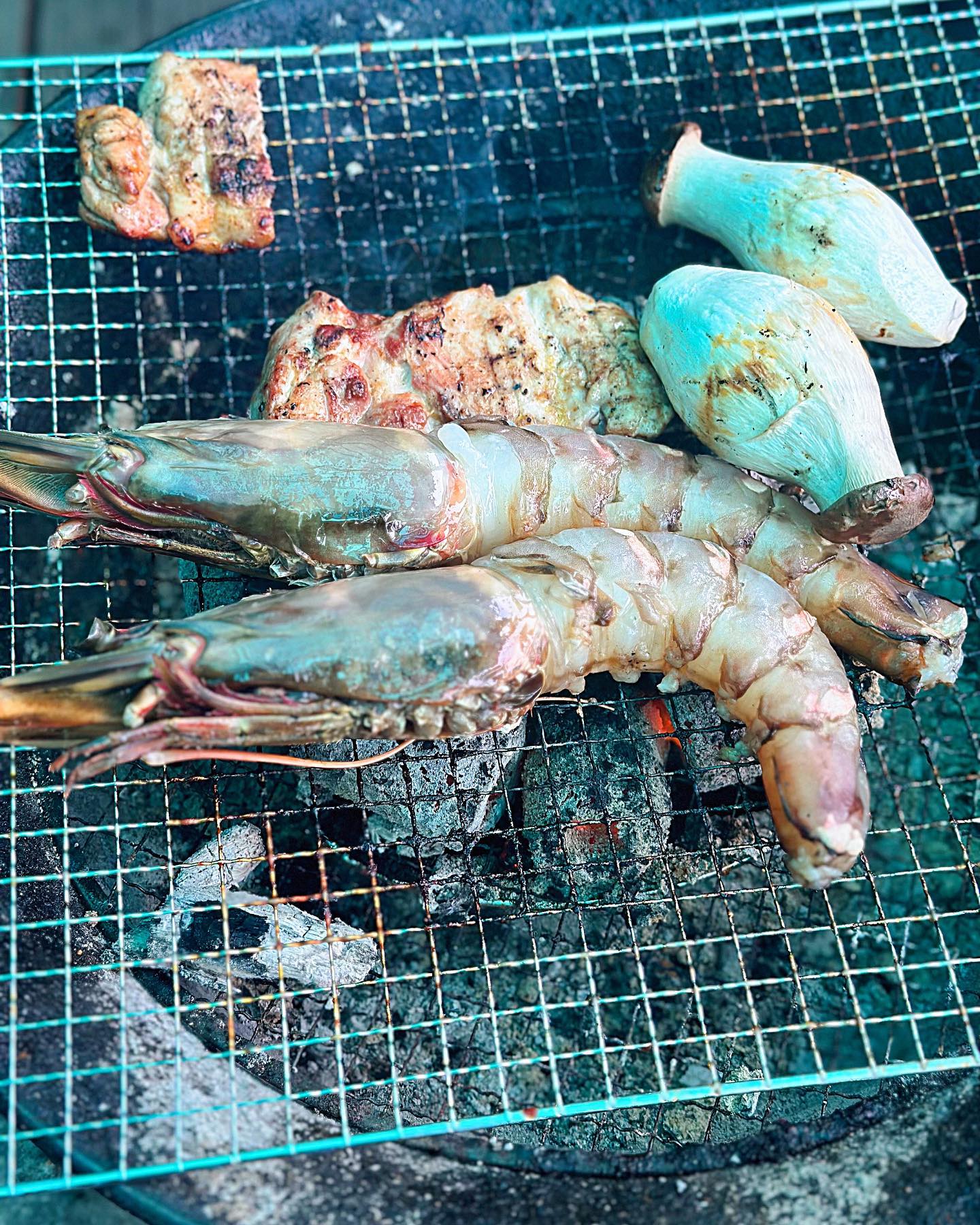 #강원도여행
맛있는 건 정말 참을 수 없어 👀💖
공기 좋고 물 맑은 곳에서 숯에 굽는 거라면 뭐든 맛있습니다

#먹스타그램 #강원도 #불멍 #킹타이거새우 #닭갈비 #숯불구이 #족발 #새우 #버섯 #고기굽기 #고기먹을때 #마늘쫑에쌈장 #꼭먹어보세요