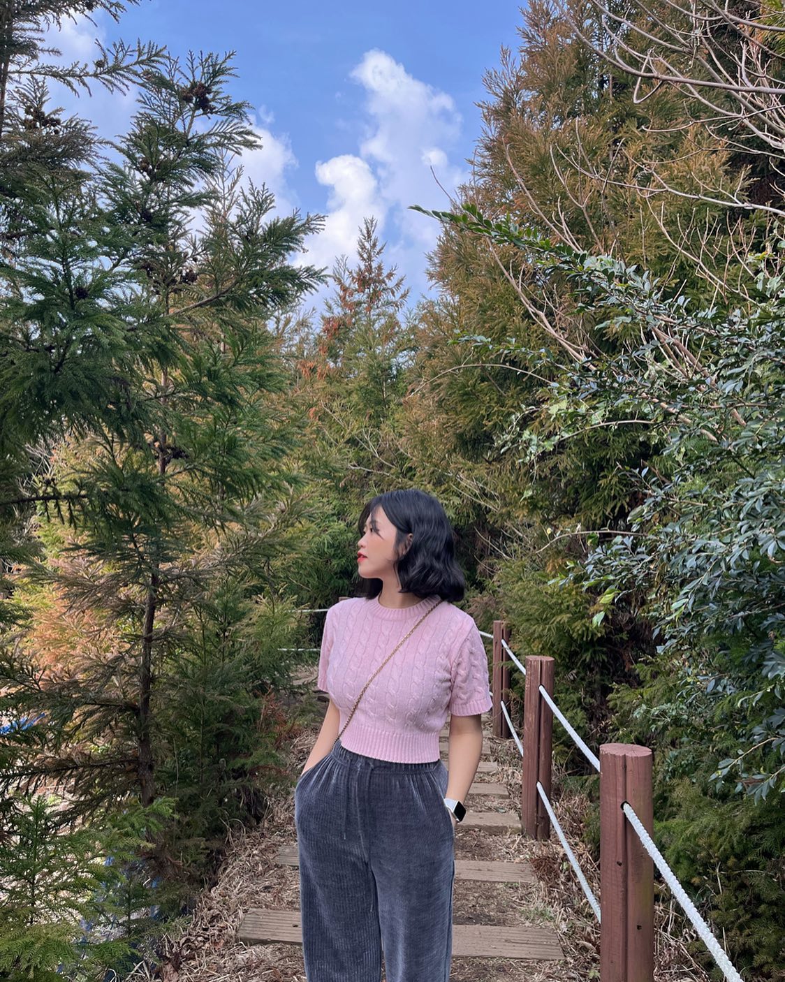 🌲
