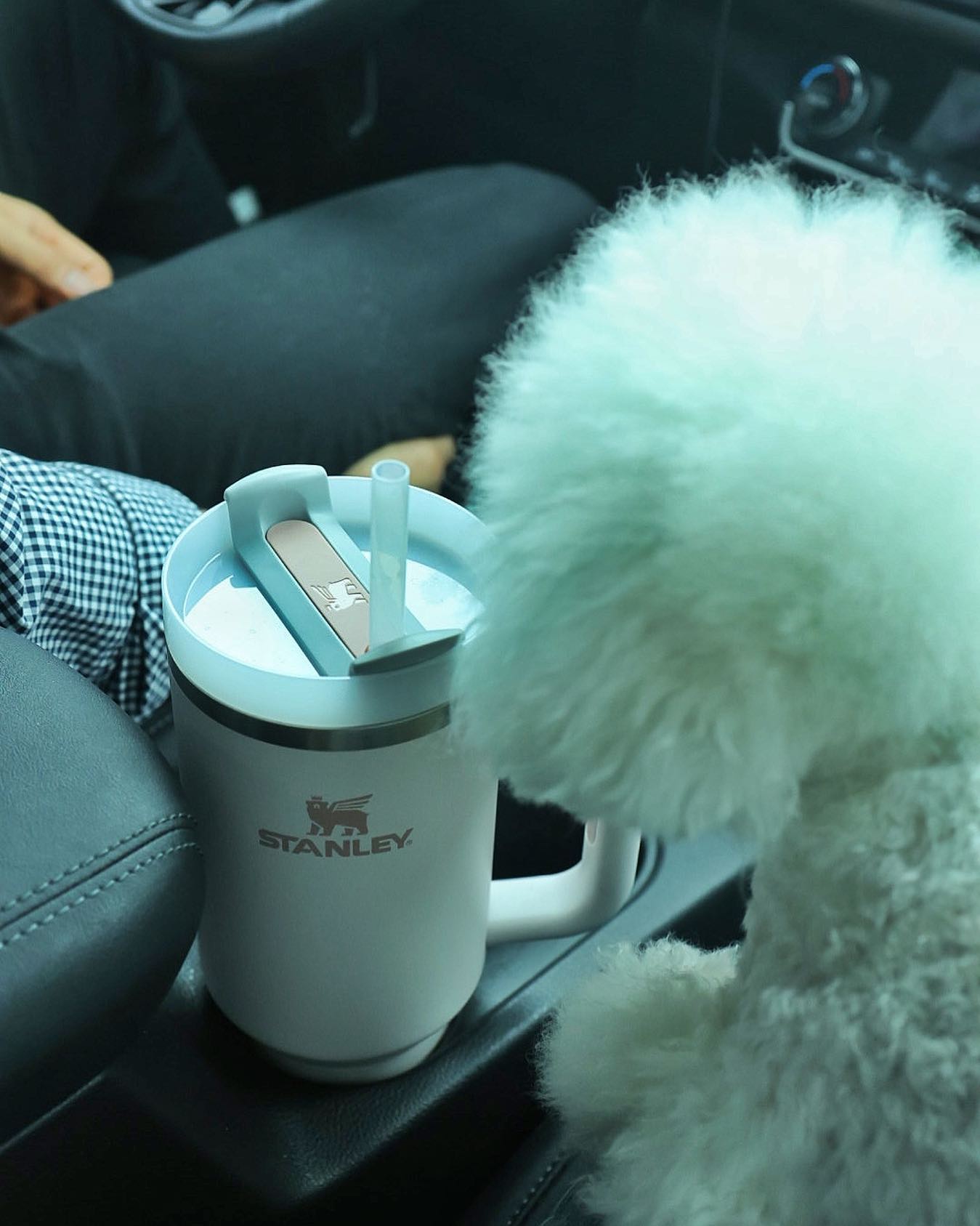 🏷️#스탠리 #워터풀타임 #워터풀챌린지 #텀블러 #텀블러추천 stanley_korea