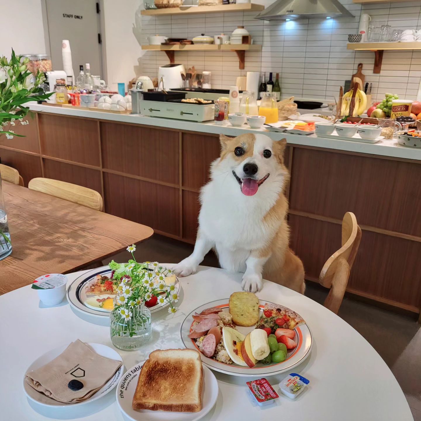 식빵이랑 너무 너무 예쁜 #메리도그하우스 방문했어용!!!

✨️ 개별 마당과 넓은 운동장 구비!
✨️ 실내, 실외 수영장, 사우나까지 구비된 곳!
✨️ 밤엔 불멍에 고구마도 무료로 즐길 수 있어서 실컷 고구마 먹은 식빵이🍠
✨️ 맛있다고 소문난 조식은 역시 최고 최고!! 안 먹으면 후회 백만 번 할 정도로 맛있어요!! (1번 사진)

모든 것이 완벽했던 곳! 강추 드립니당!! 재방문 필수!! 💛 😆👍

📍merrydoghaus

#양평애견동반펜션 #애견동반펜션 #양평애견동반 #애견동반여행 #애견동반식당 #사지말고입양하세요 #cutedog #corgistagram #애견독채펜션
