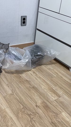 [헨로포우]  고양이 빵방석, 고양이 방석 침대
