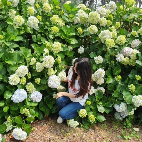 #울산여행

울산여행 필수앱 #왔어울산 에서는 지금
울산지역 숙박 3만원 즉시할인 이벤트 중이예요!
곧 수국이 수국수국하게 필 대왕암공원과 
동굴샷 찍을 수 있는 슬도 여행하기 좋은 위치의
현대호텔 조식패키지가 금요일 기준 1박 135천원😍
울산여행 계획 중이라면 얼른 예약 고고!!