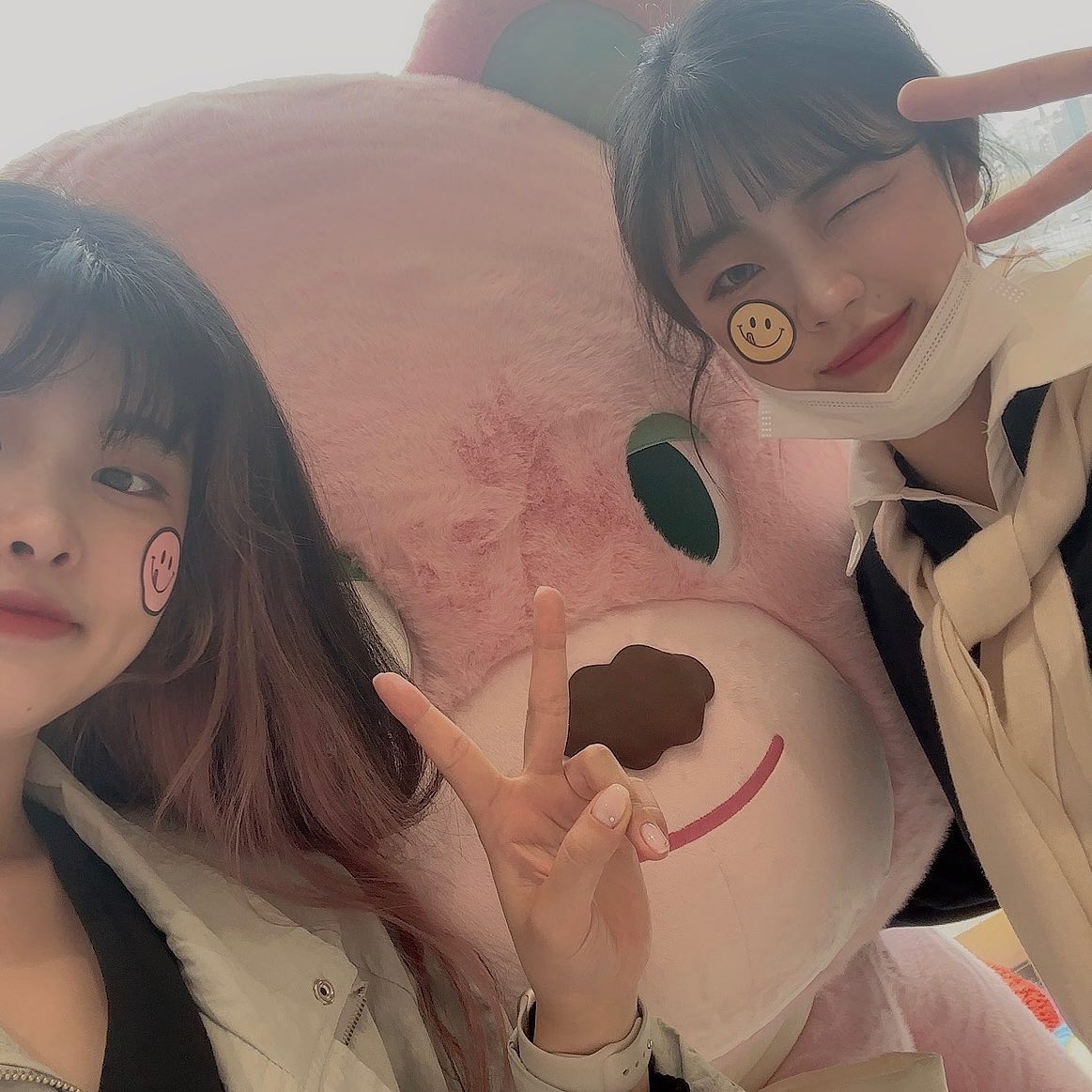 노티드 트레이드마크랑✌️