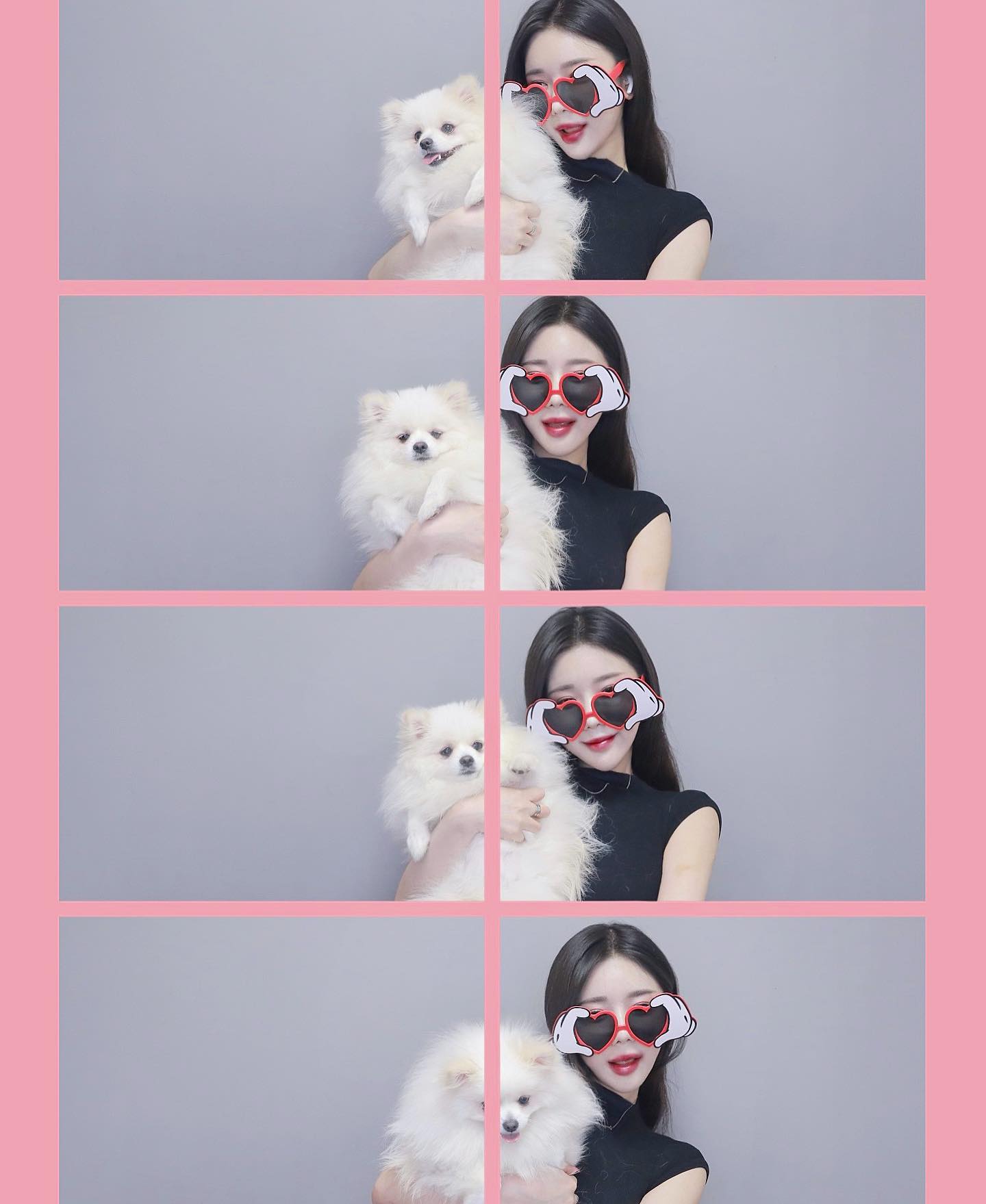 오늘도 사랑해 내시끼🩵

#견생네컷 
(검은옷 입고싶다^^*)