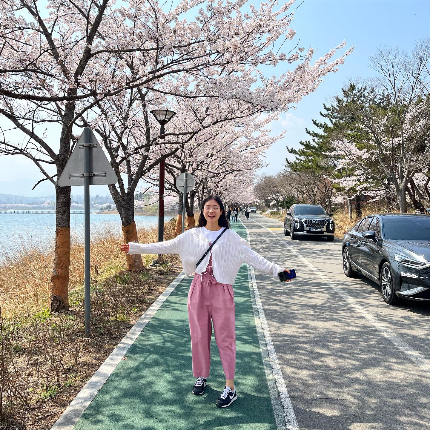 봄 다 지나갈 때 올리는 3월 벚꽃🌸