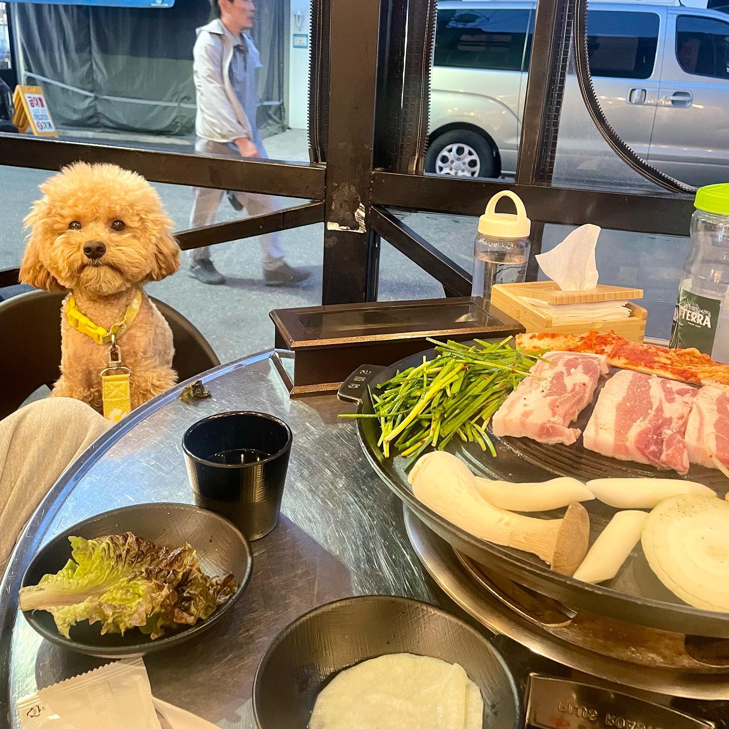 느네만 마싯는 거 먹냐….. (억울🥺)