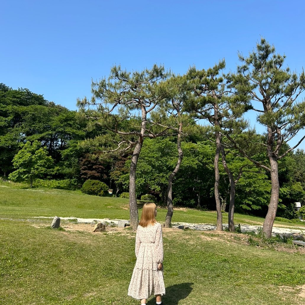 🍃