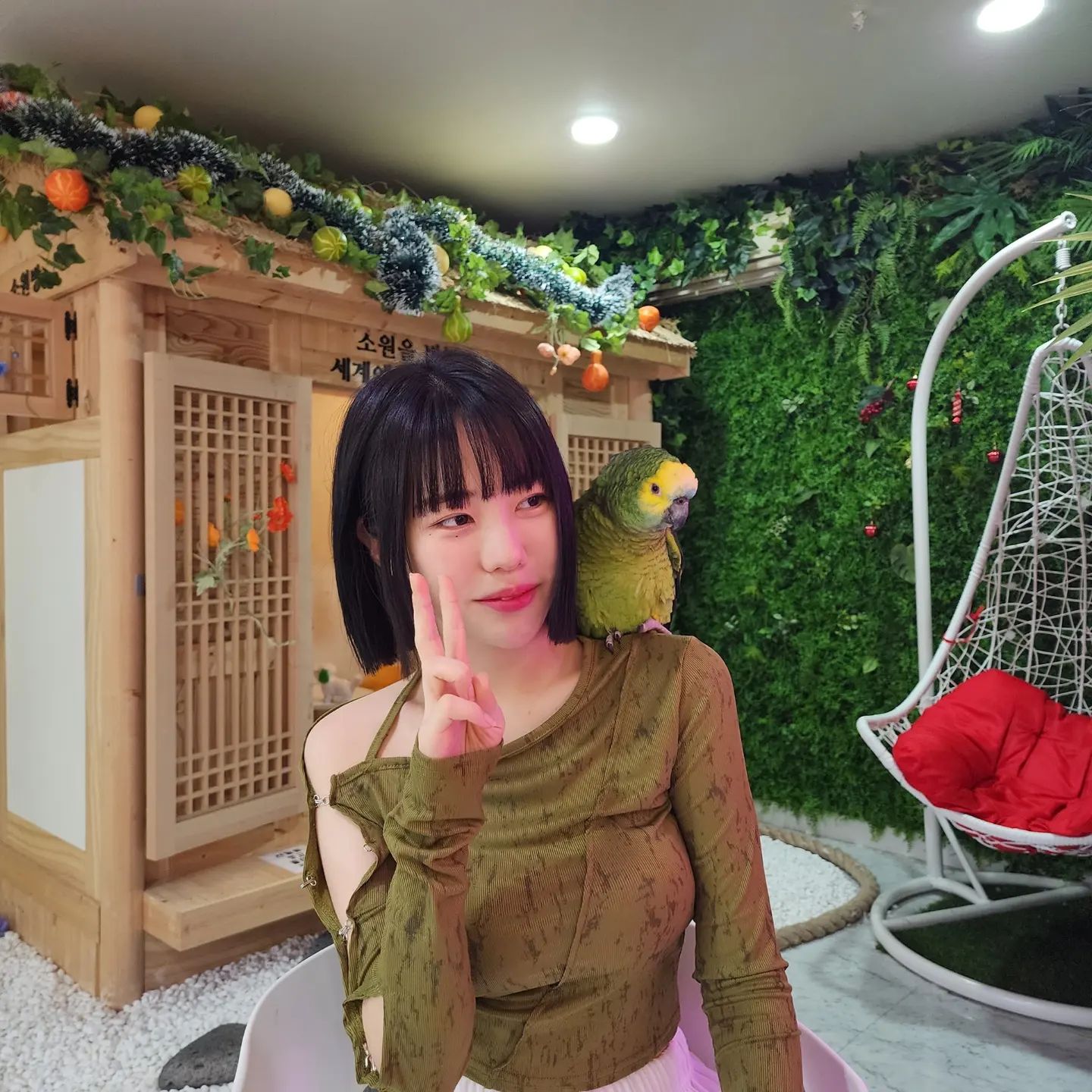 작년 11월 첫방문 후 넘 맘에들어서 자주 갔던 곳..💕 전에는 큰앵무 없었는데 요번에 갔더니 생겼따 ㅇ0ㅇ!
따로 정이 갔던 앵무가 있어서 고민 끝에 데려오기로 했어욤 :>..♡ 여건 되면 한 마리 더 데려와야지 :>
마지막 사진은 첫방문 시절 앵무 :0♡

#왕관앵무  #앵무새