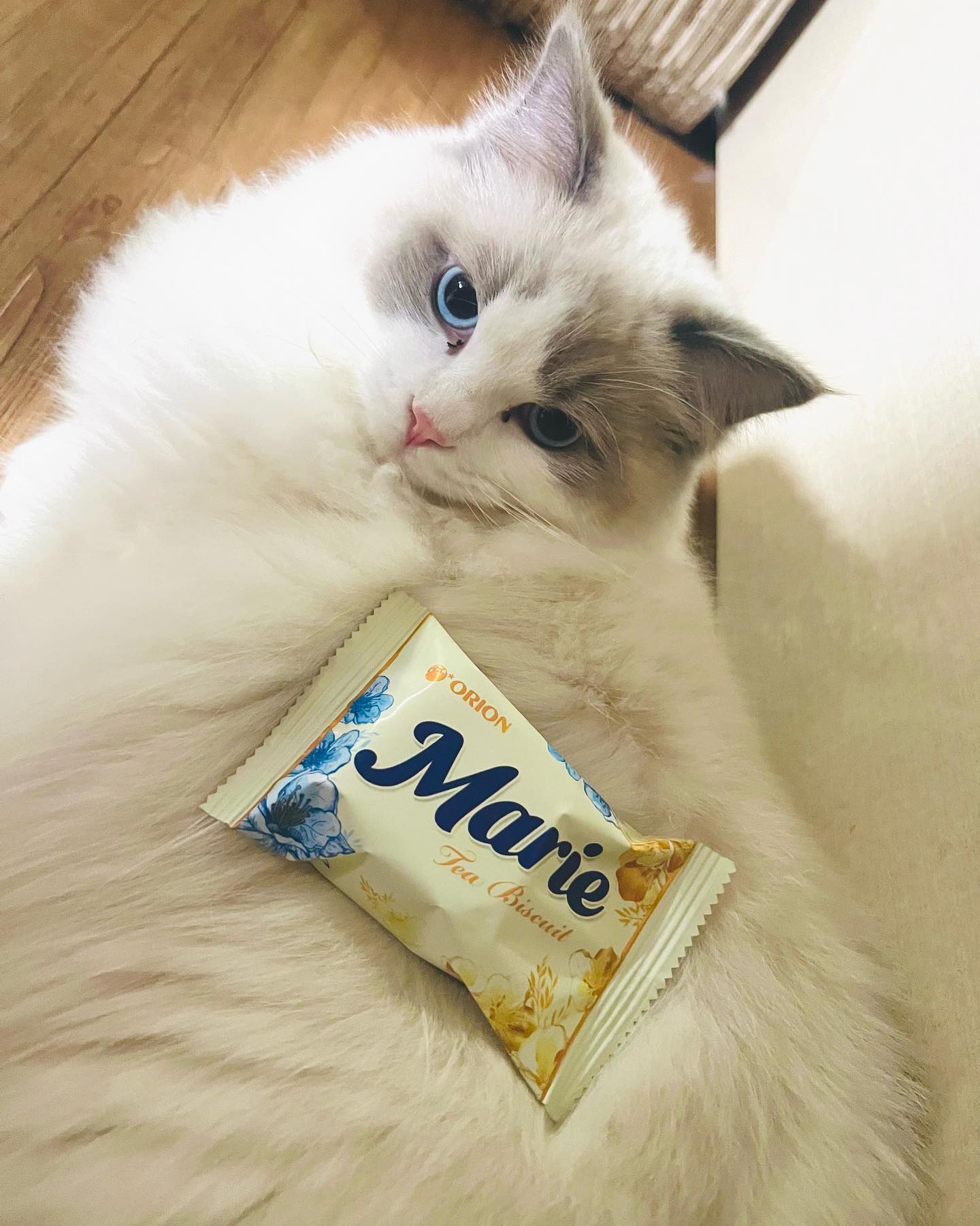 #Marie
마리 비스킷☕️ 커피와 찰떡😍❤️
이름만 보고 샀는데 맛있음 ㅋㅋㅋㅋ
