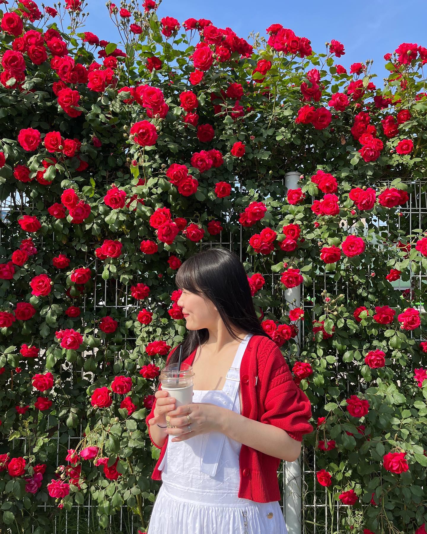 집순이 탈출은 힘든 레따핑 파산핑🌹