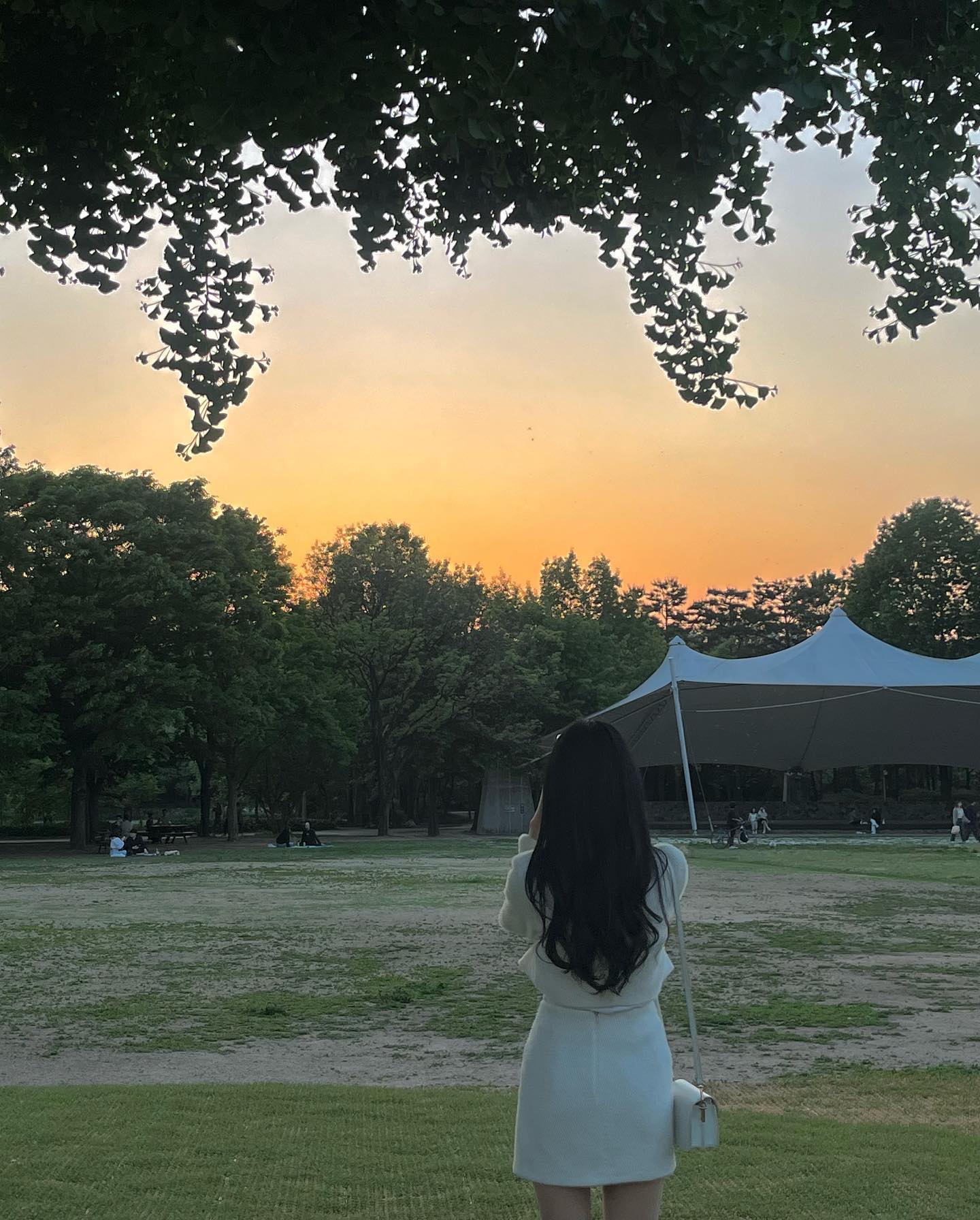 콘텐츠