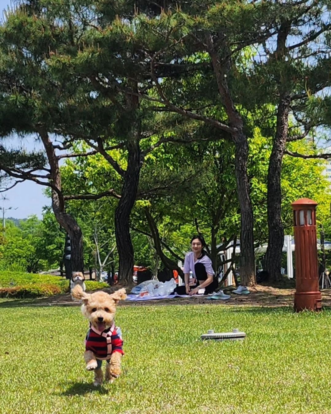 날씨좋은 날 부지런히 놀기이
김화동 첫 소개팅ㅋㅋㅋㅋㅋ 
보고만 있어도 힐링 졸귀 채아ㅠ 2분 컷 소영ㅠ
다음에 또 가좡〰️

mintyouz soy_0.bahk 
보지도 못한 iam__intellectual 까지,