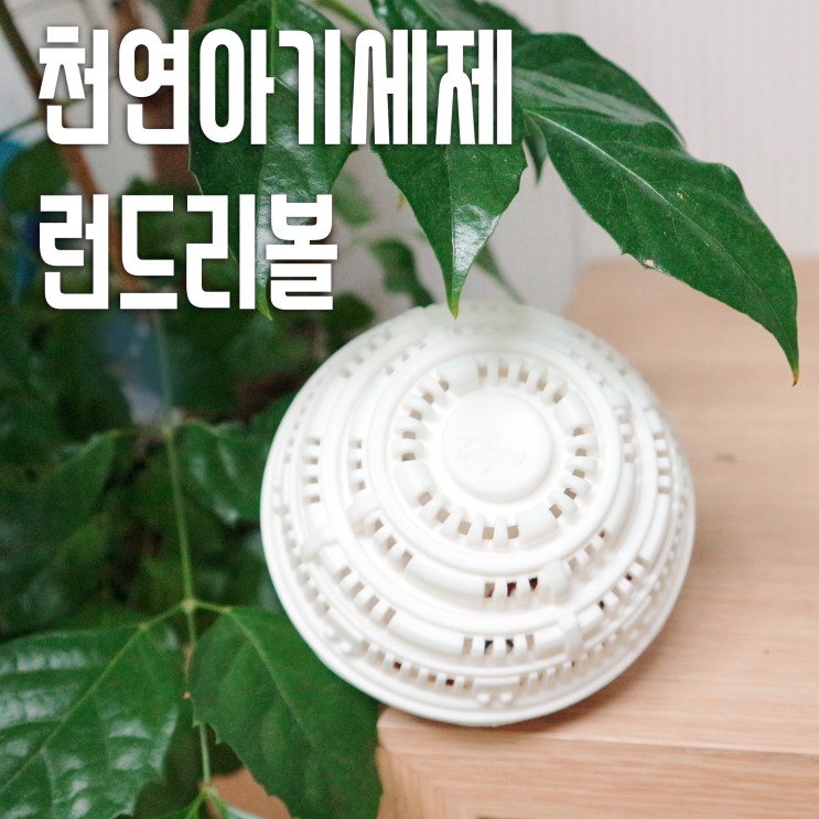 천연아기세제 데이포유 런드리볼 가성비갑!