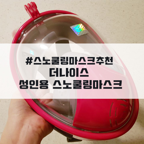 스노쿨링마스크추천 더나이스 성인용 스노쿨링마스크!