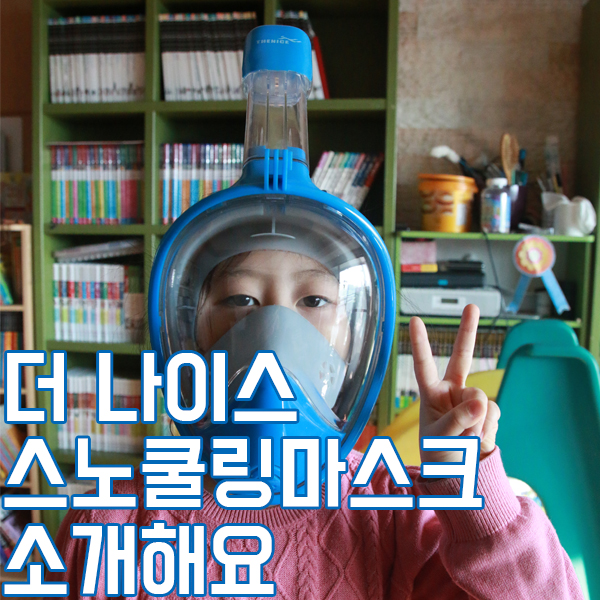 시야 확보가 더 좋아진 더나이스 스노쿨링 마스크 추천해요