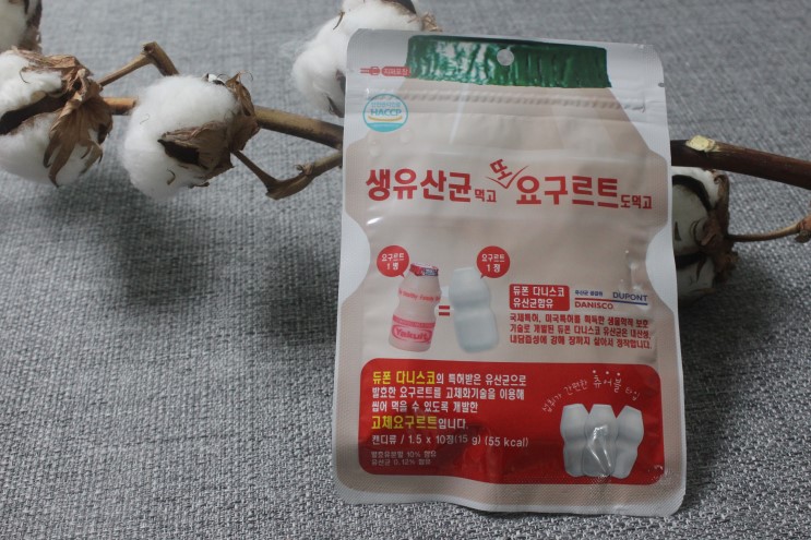 맛있게 씹어먹는 요구르트맛 생유산균