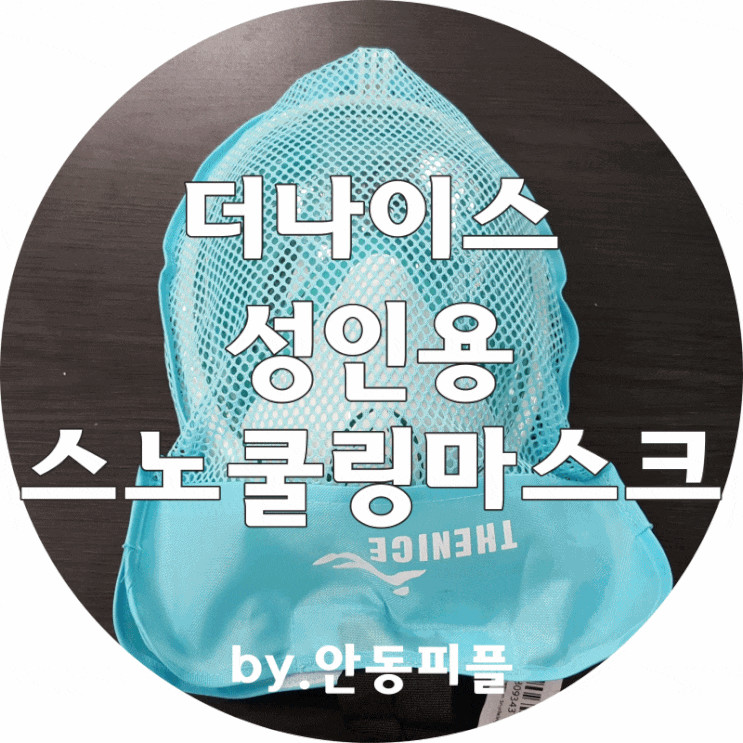 해변갈때 꼬~옥 챙기자!!! ▶더나이스 스노클링마스크◀바다갈때 필수품(수상레저용품)