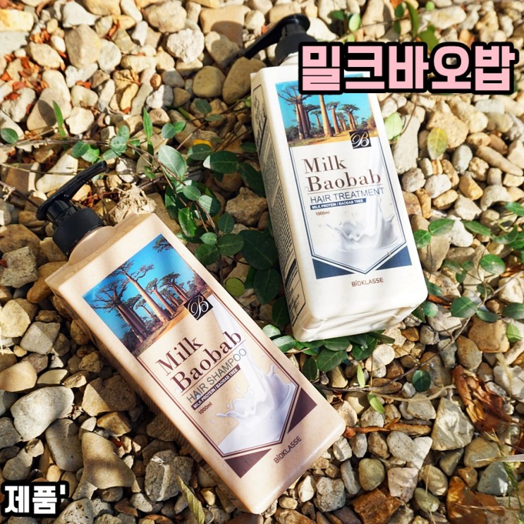 밀크바오밥 헤어샴푸 트리트먼트로 건강한 모발 만들기