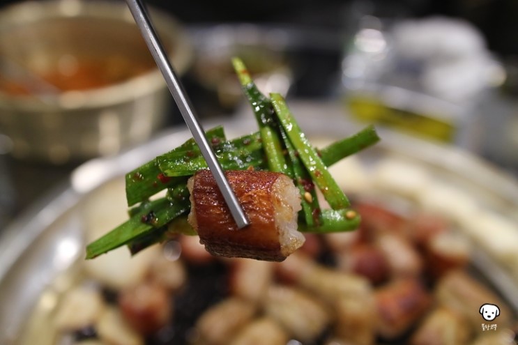 마곡맛집 : 발산역 근처 깔끔한 한우 곱창집 - 곱창시대