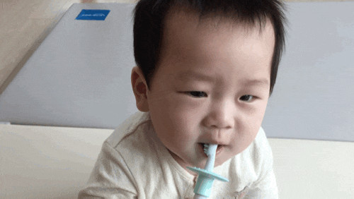 국민치발기 누크 유치브러쉬
