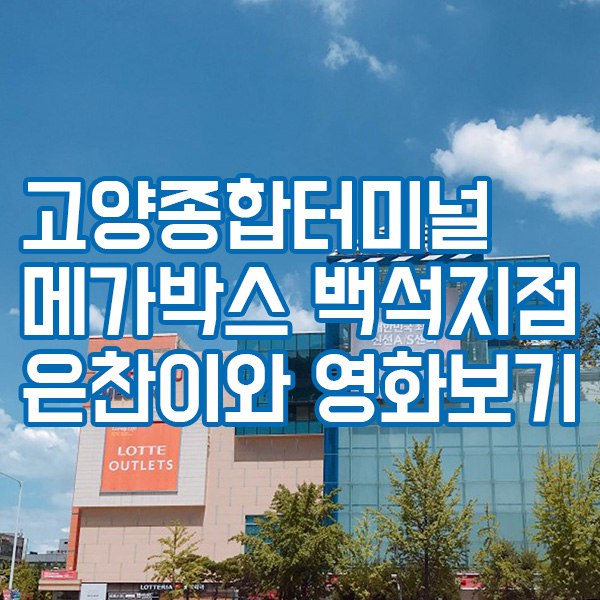 고양터미널 메가박스 백석지점에 은찬이와 영화 보러 가다