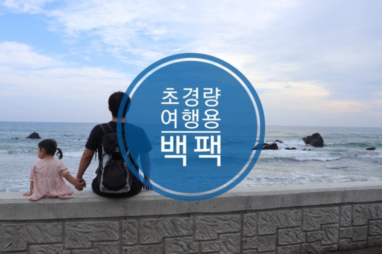 아마존닷컴에서 대박난 와일드혼(Wildhorn) 초경량여행용백팩 메고 고고!