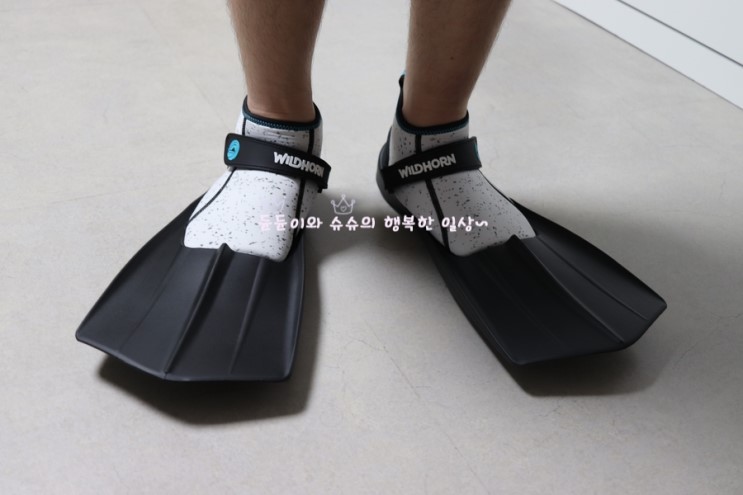 오리발 스노쿨링 추천 와일드혼 하이드로핀 쪼아쪼아!!