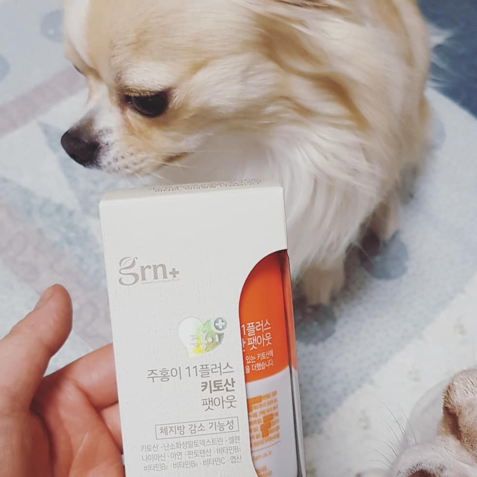 alijju (@alijju_home) posted on Instagram • Mar 18, 2019 at 6:24am UTC