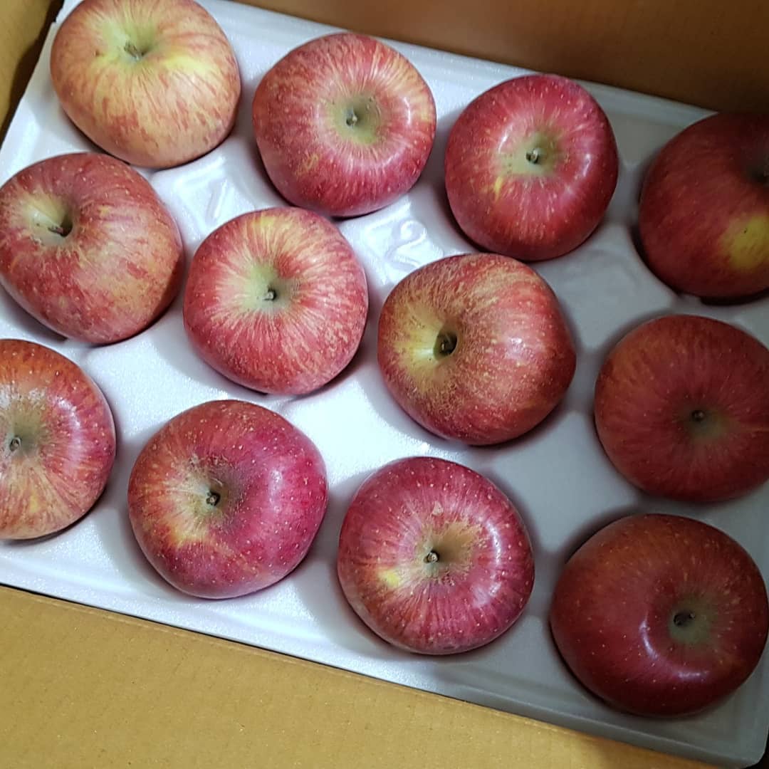 #맛있는사과가 먹고싶어서 주문했어요
인터넷 뒤졌는데~
일단 한박스만 사보기로

찬미네 농원서 주문했는데..
우와
사과의 꿀이 있어요
요즘 보기드문
울 5학년 조카 
난 사과 안 좋아하는데~ 이번사과 맛나네~~^^
하네요..^^
잘 샀어~~
또 주문해야겠어요..^^ #찬미네농원 #문경사과 #맛있는사과 #달달한사과  #싱싱한사과 #아침보약 #협찬