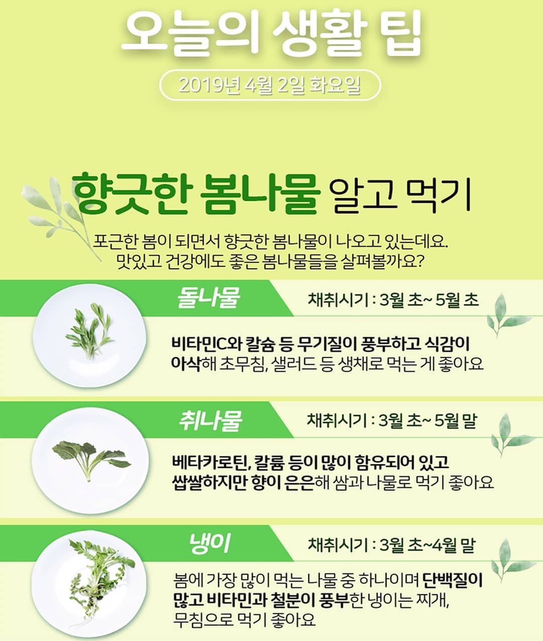 날씨보다 나온 #꿀팁 
#봄나물
#오늘의생활팁
#향긋한봄나물
#돌나물 #취나물 #냉이
#일상 #일상소통 #맞팔 #맞팔해요 #선팔 #선팔맞팔 #선팔하면맞팔 #정보