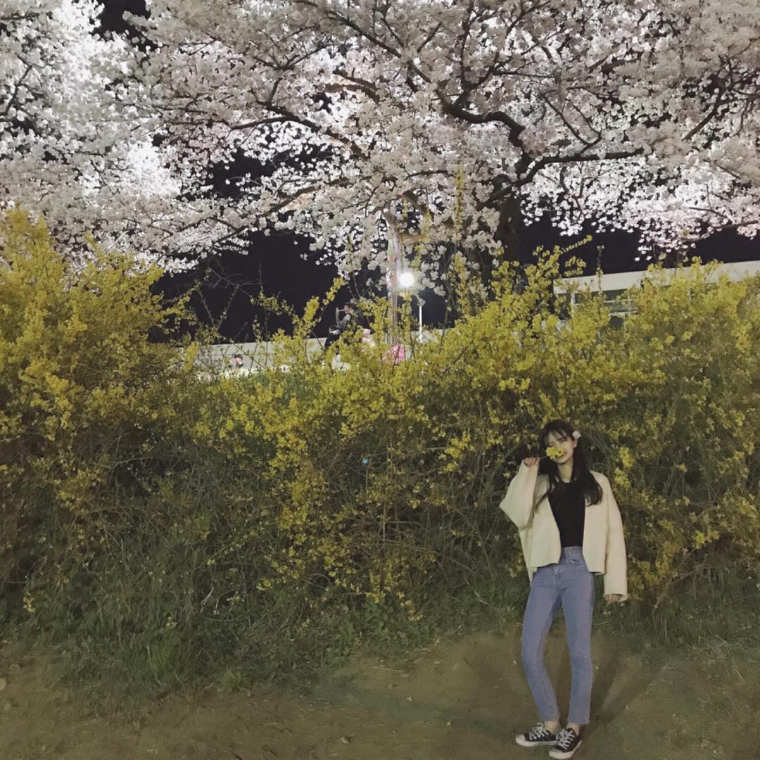 콘텐츠