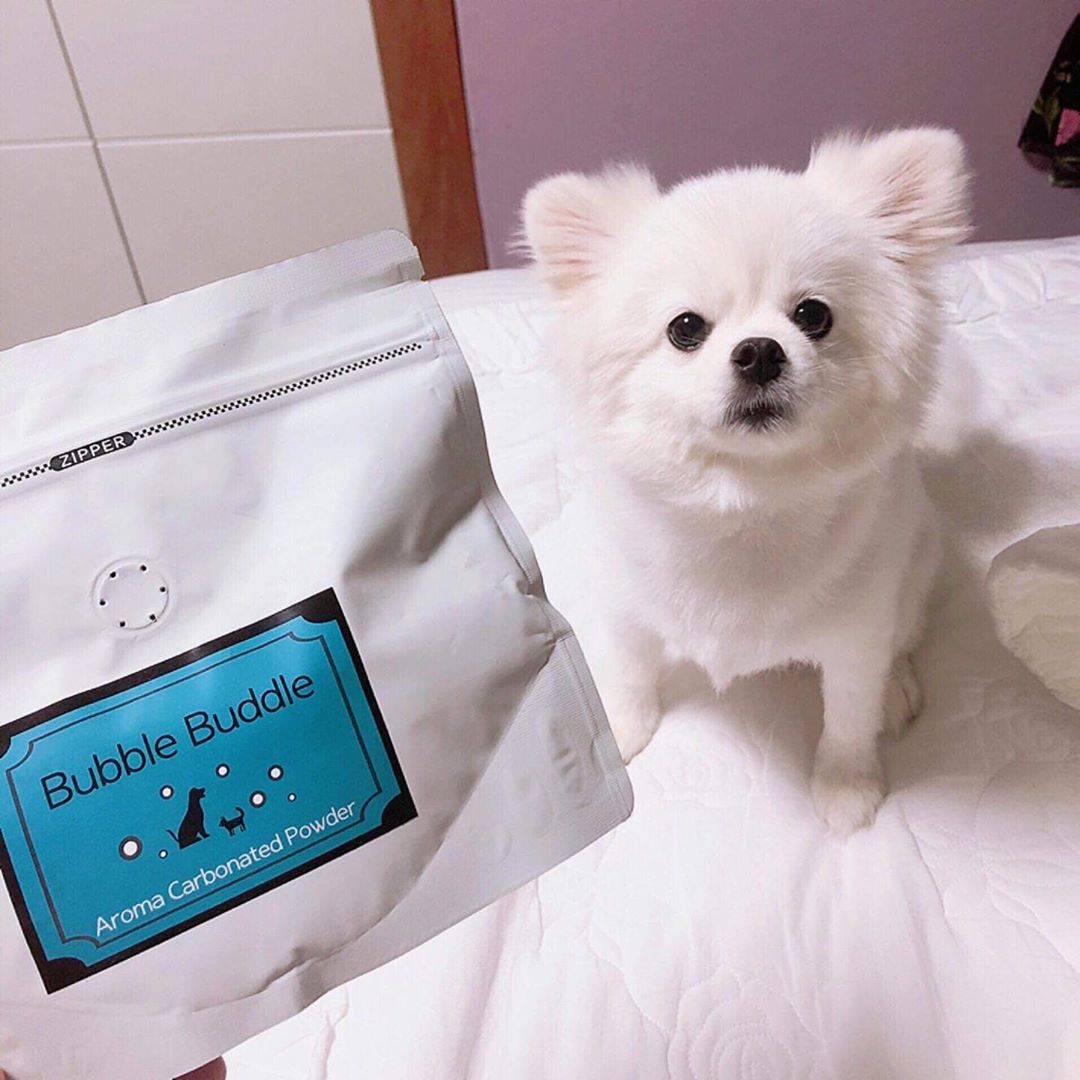 수진 on Instagram: “👉🏻 강아지 천연 아로마 입욕제 👈🏻 - . . .  울 구찌 쭌이 몽몽이들 스파해써여 크크 - ✅ 탄산스파 , 거품스파 두 가지 제품 - ✅ 샴푸 후 린스 대용으로 사용 가능 - ✅ 향도 좋고 천연 아로마라 좋아요 - 반려견들 피부를 위해…”