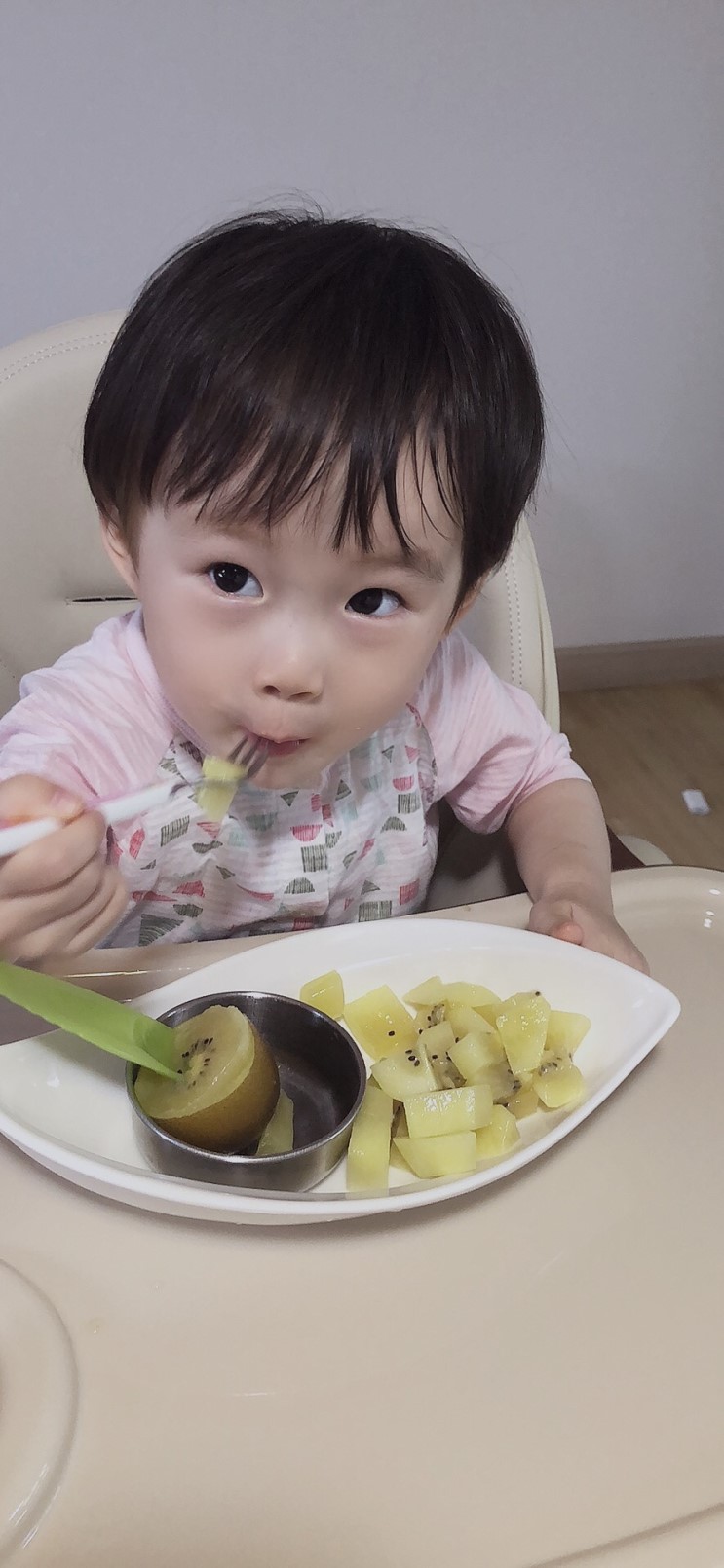 장보남 골드키위 22개월아기 간식으로 딱