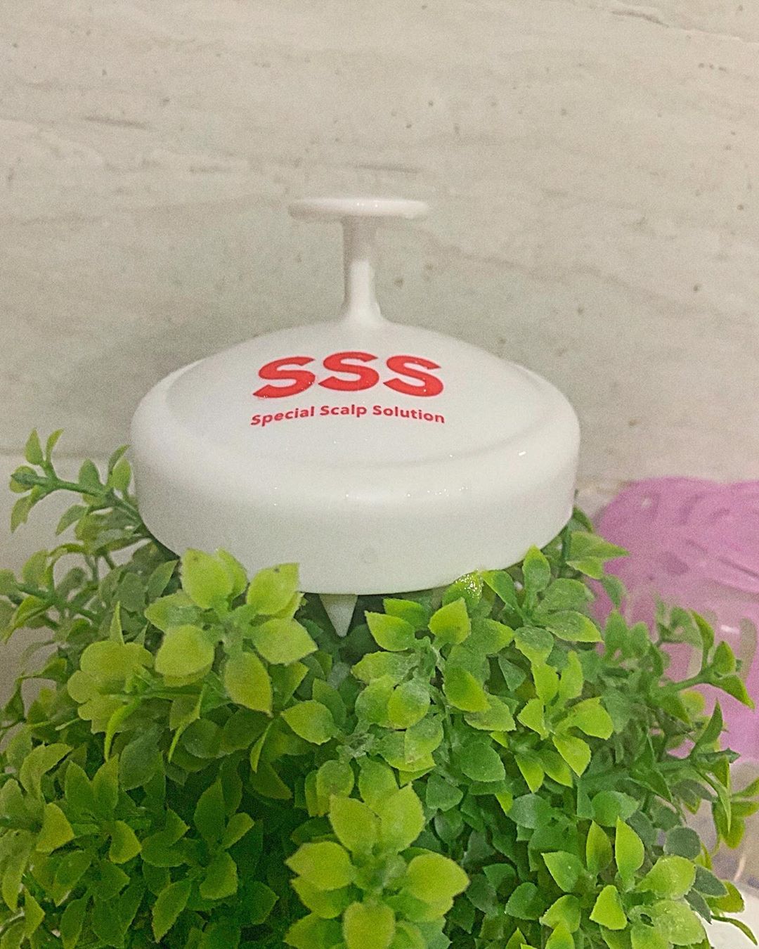 애드펌킨 나린 on Instagram: “. 요즘에 맨날쓰는 두피브러쉬  사실.. 이나이에 탈모가 좀 있는데여ㅠㅠㅠㅠ 매일 머리감을때마다 진짜 놀랄만큼 엄청빠져서ㅠㅠㅠ 속앓이중이었는데 탈모샴푸연구소에서 만든 두피청결 브러쉬라고해서 믿고 같이 쓰는중이에요! 브러쉬모가 부드러워서 자극도 없고…”