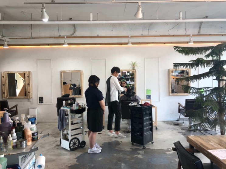 [후기]단국대 미용실 메종드 헤어 죽전점/상한 머릿결 원샷 클리닉 받기