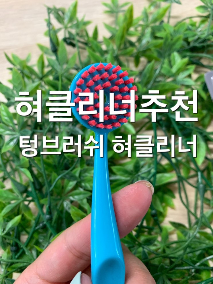 혀클리너추천 브러쉬형 혀클리너 텅브러쉬 혀클리너 후기 개운함 최고