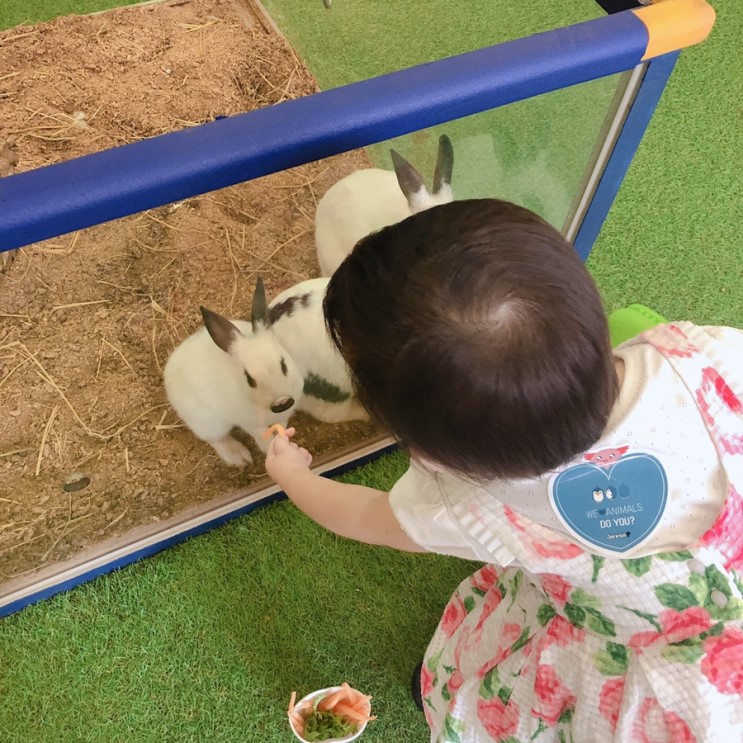 파주_쥬라리움_아기랑갈만한곳_실내동물원